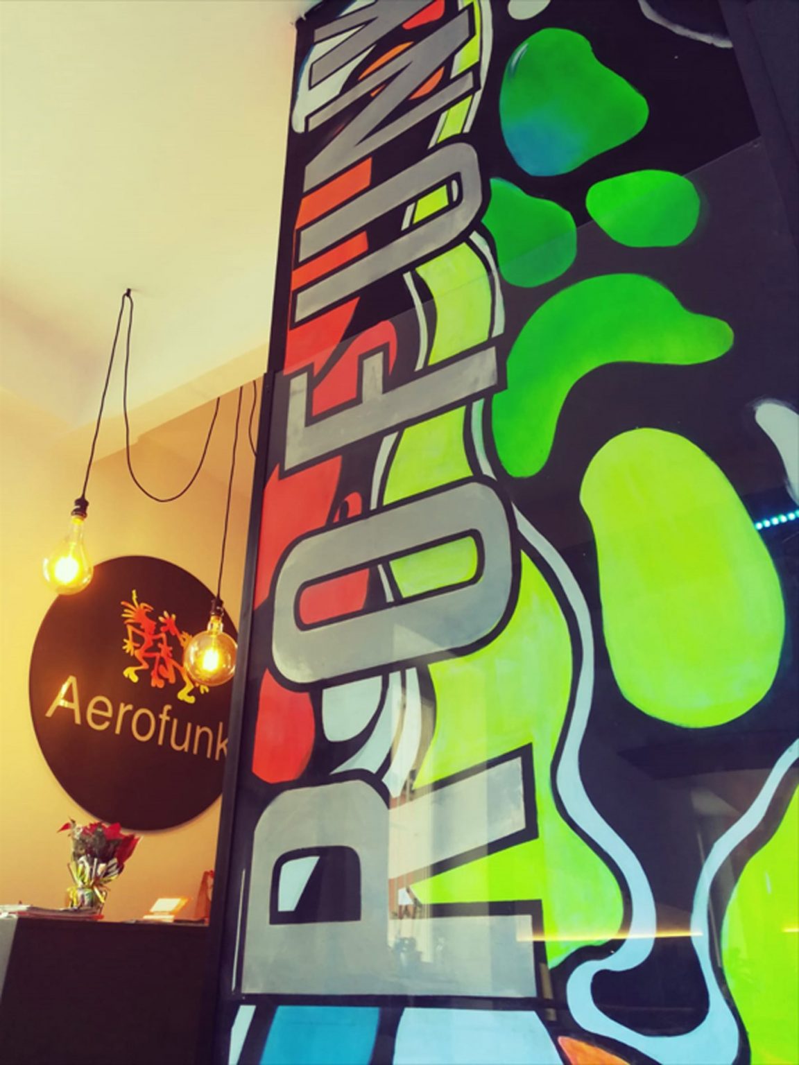 palestra-aerofunk-realizzato08